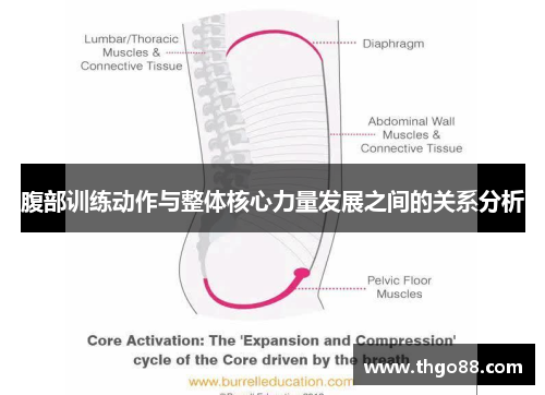 腹部训练动作与整体核心力量发展之间的关系分析