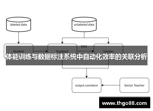 体能训练与数据标注系统中自动化效率的关联分析