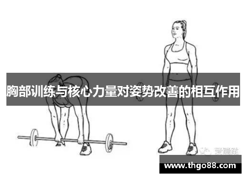 胸部训练与核心力量对姿势改善的相互作用